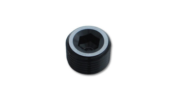 Socket Pipe Plug 1/4in NPT